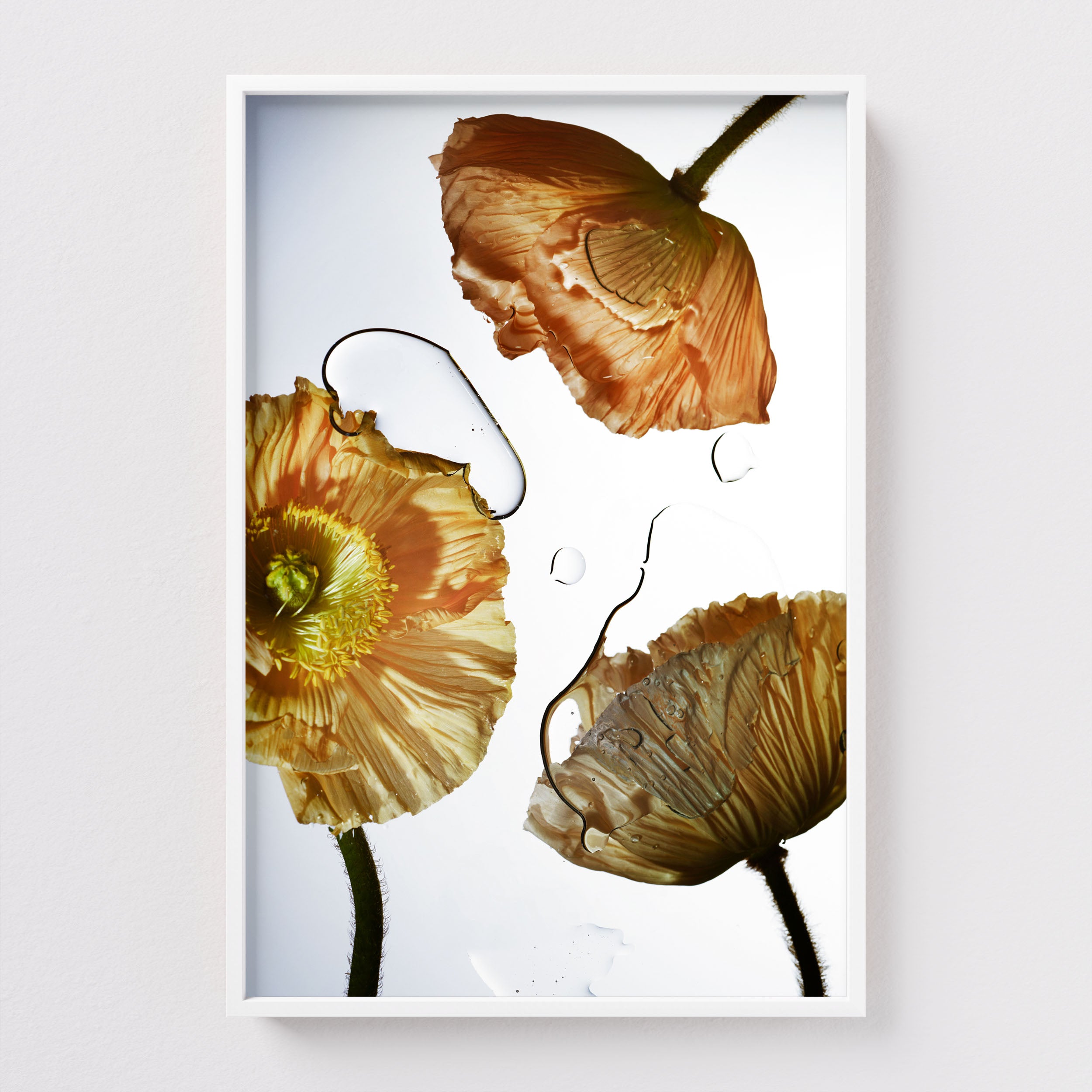 Fine Art print Liquid Dance by Sebastian Mader in white frame