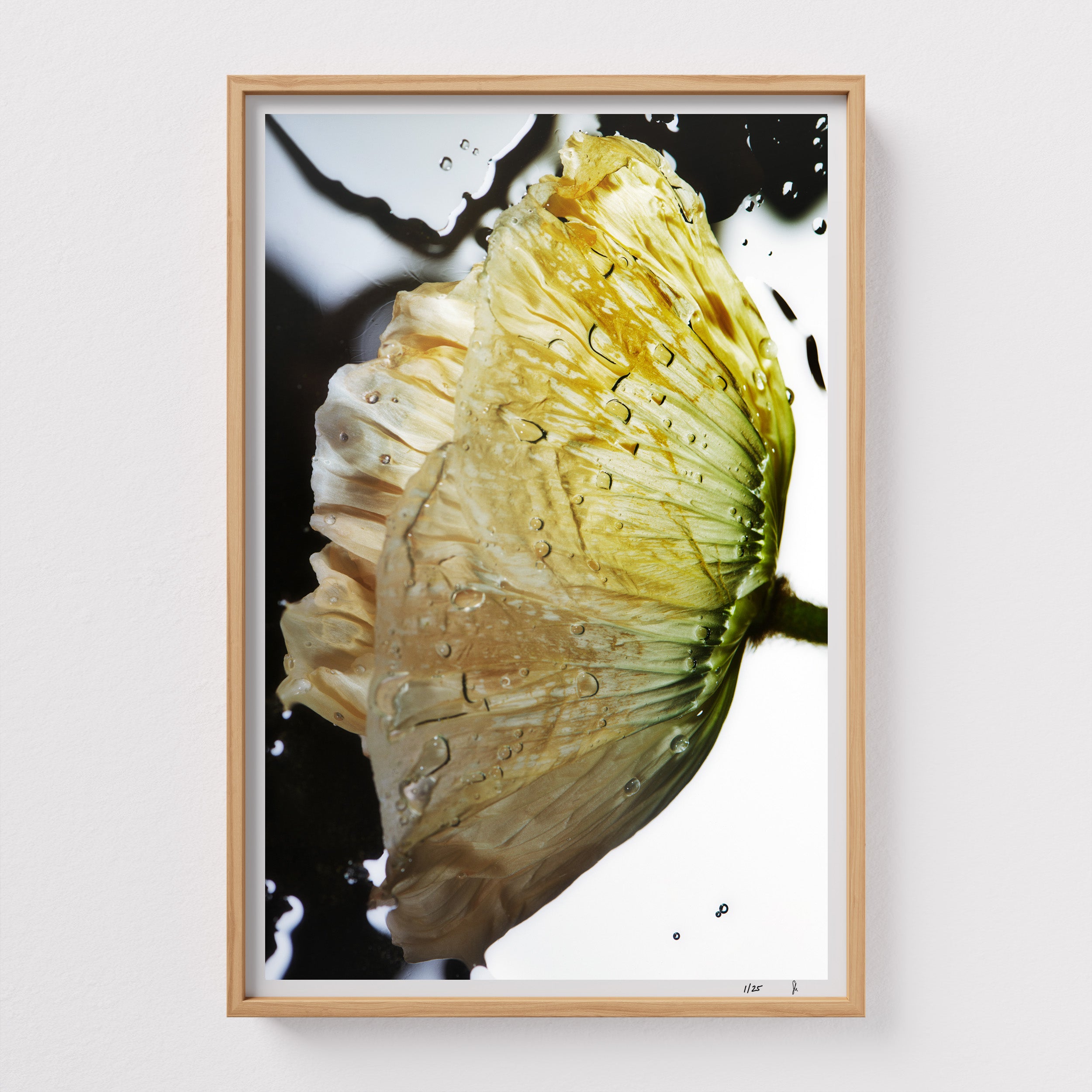 Liquid Pop by Sebastian Mader. Fluid composition with floral specimen. Signed Hahnemühle print in custom natural wooden frame. Liquid Study. Limited Edition.