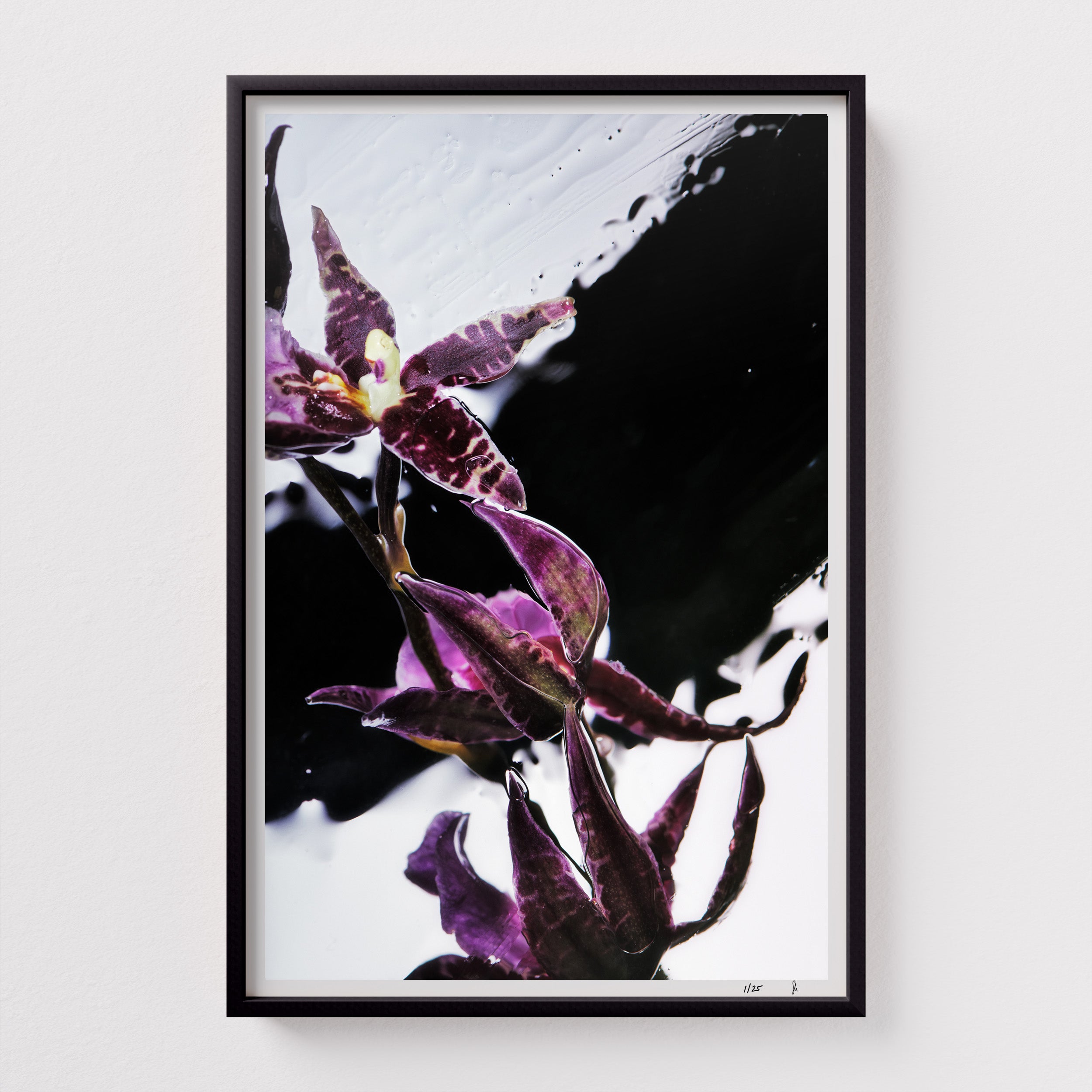Purple Rain by Sebastian Mader. Fluid composition with purple floral specimen. Signed Hahnemühle print in custom satin black wooden frame. Liquid Study. Limited Studio Edition.