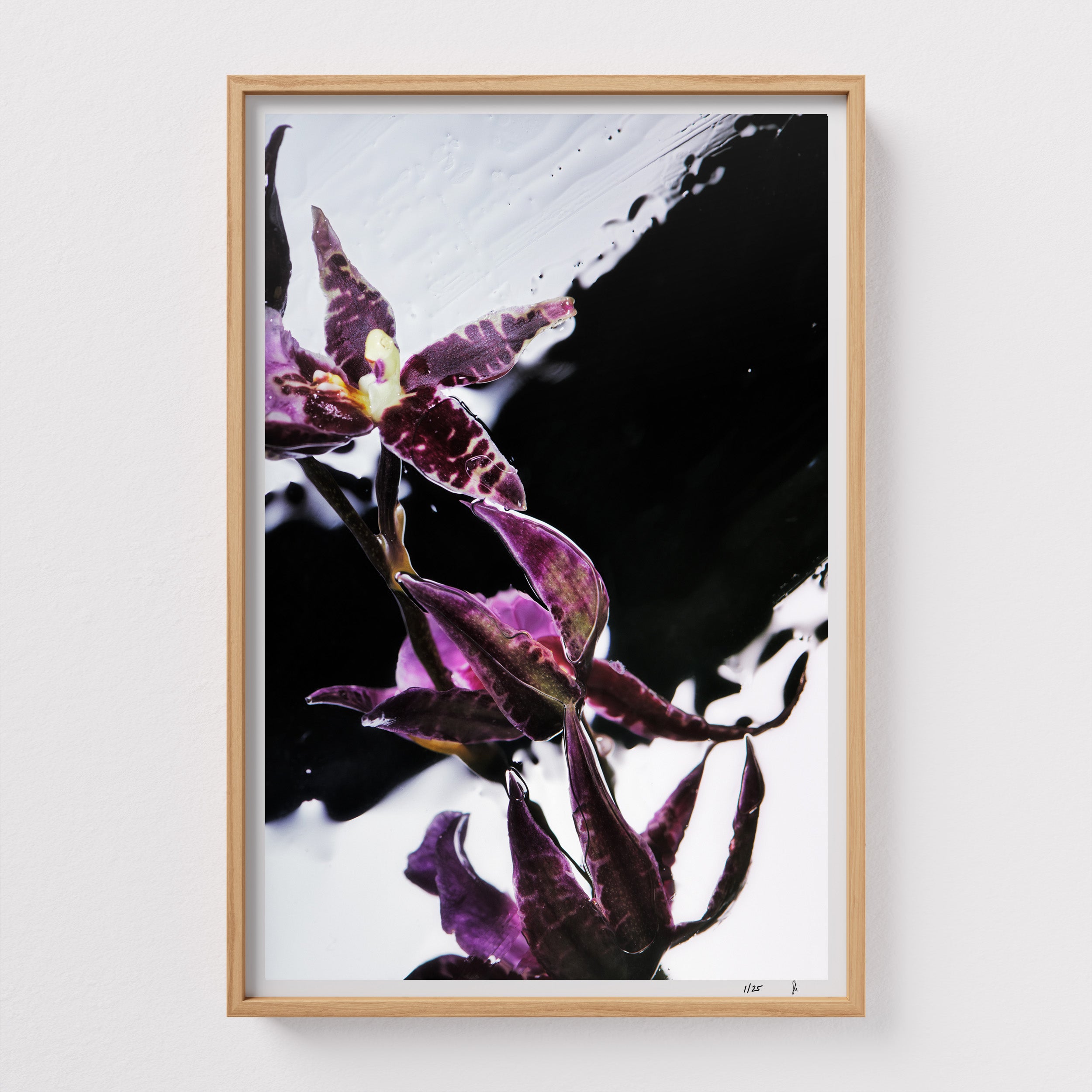 Purple Rain by Sebastian Mader. Fluid composition with purple floral specimen. Signed Hahnemühle print in custom natural wooden frame. Liquid Study. Limited Studio Edition.